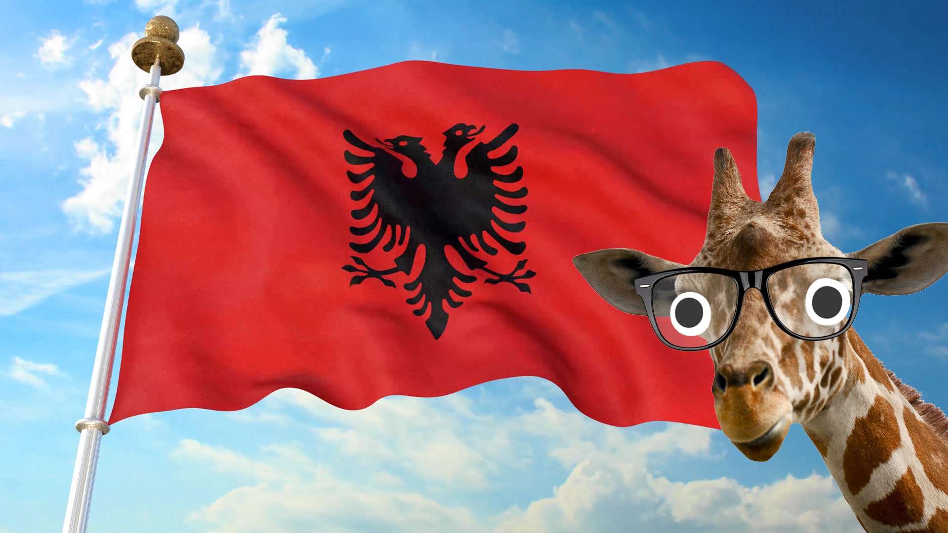 Albanian flag with a giraffe