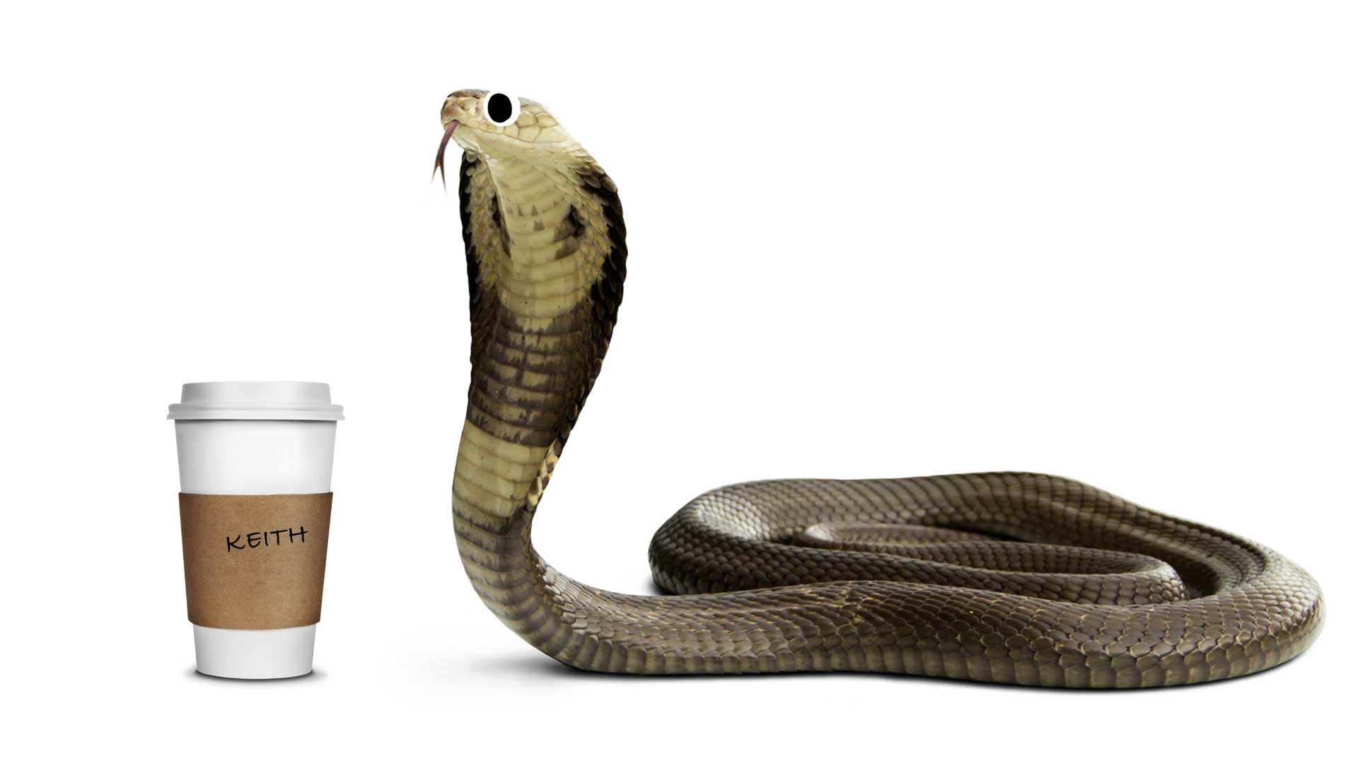 A snake with a cup of coffee