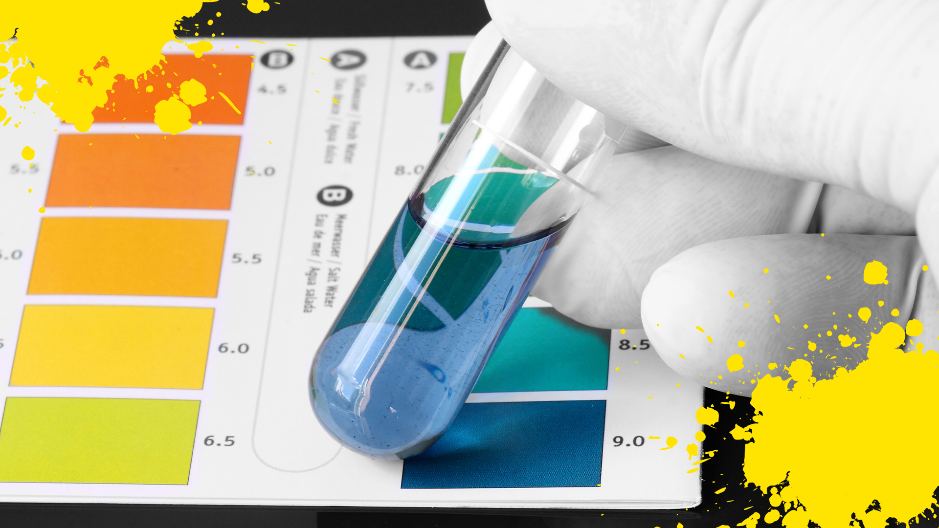 Hand holding test tube over litmus paper and yellow splats 