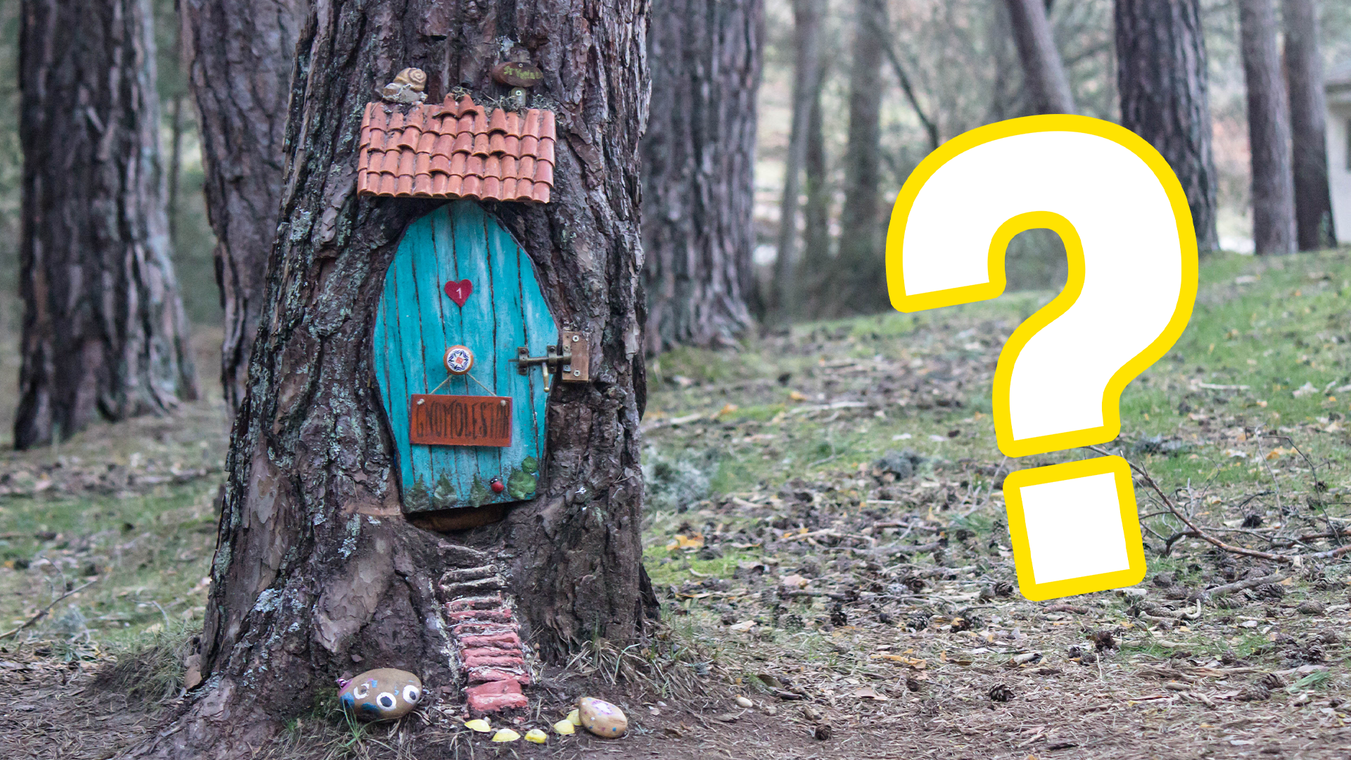 Fairy house with question mark