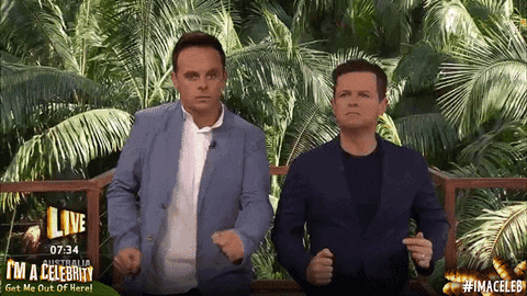 Ant and Dec in I'm A Celebrity