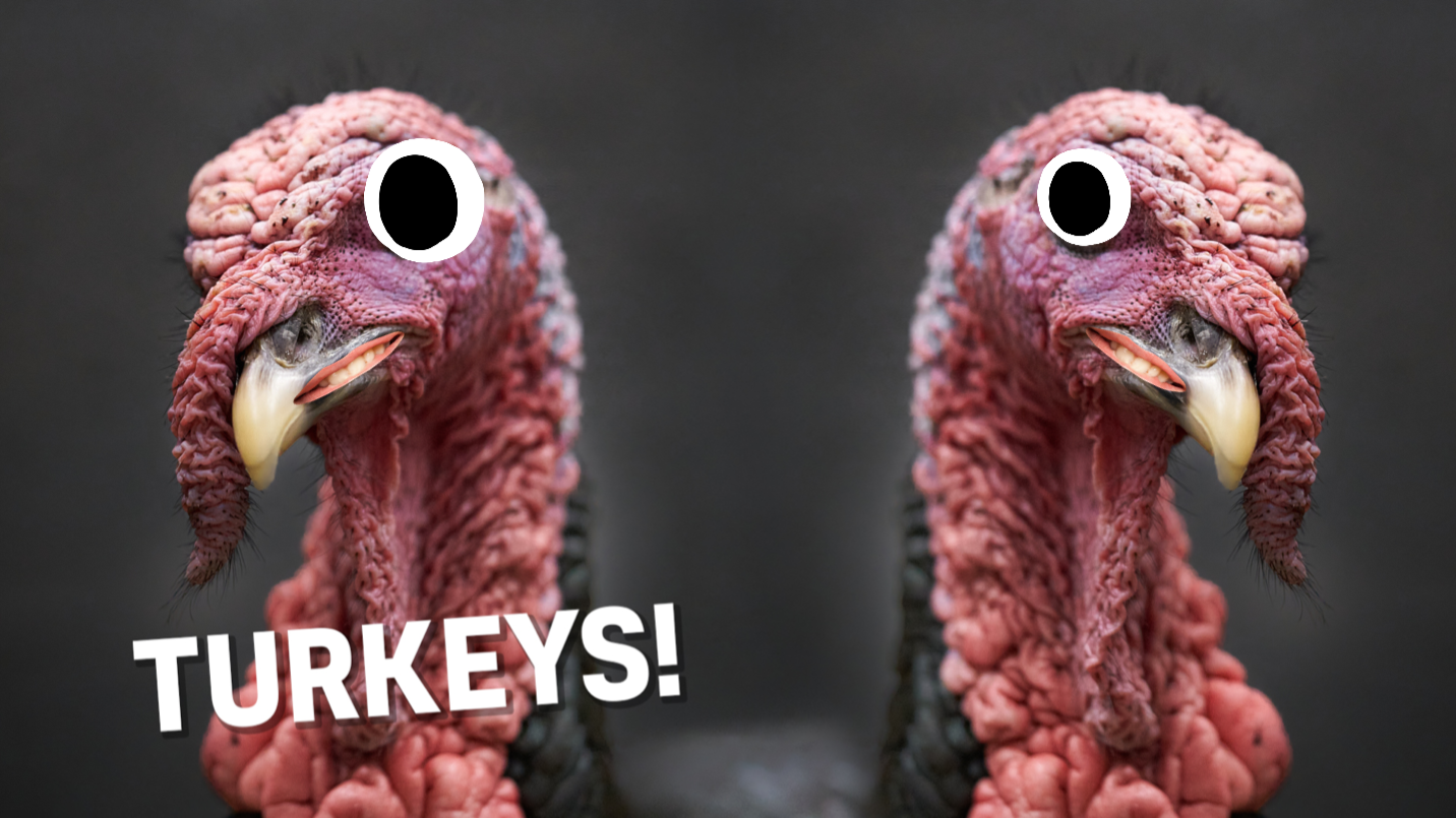 Two turkeys