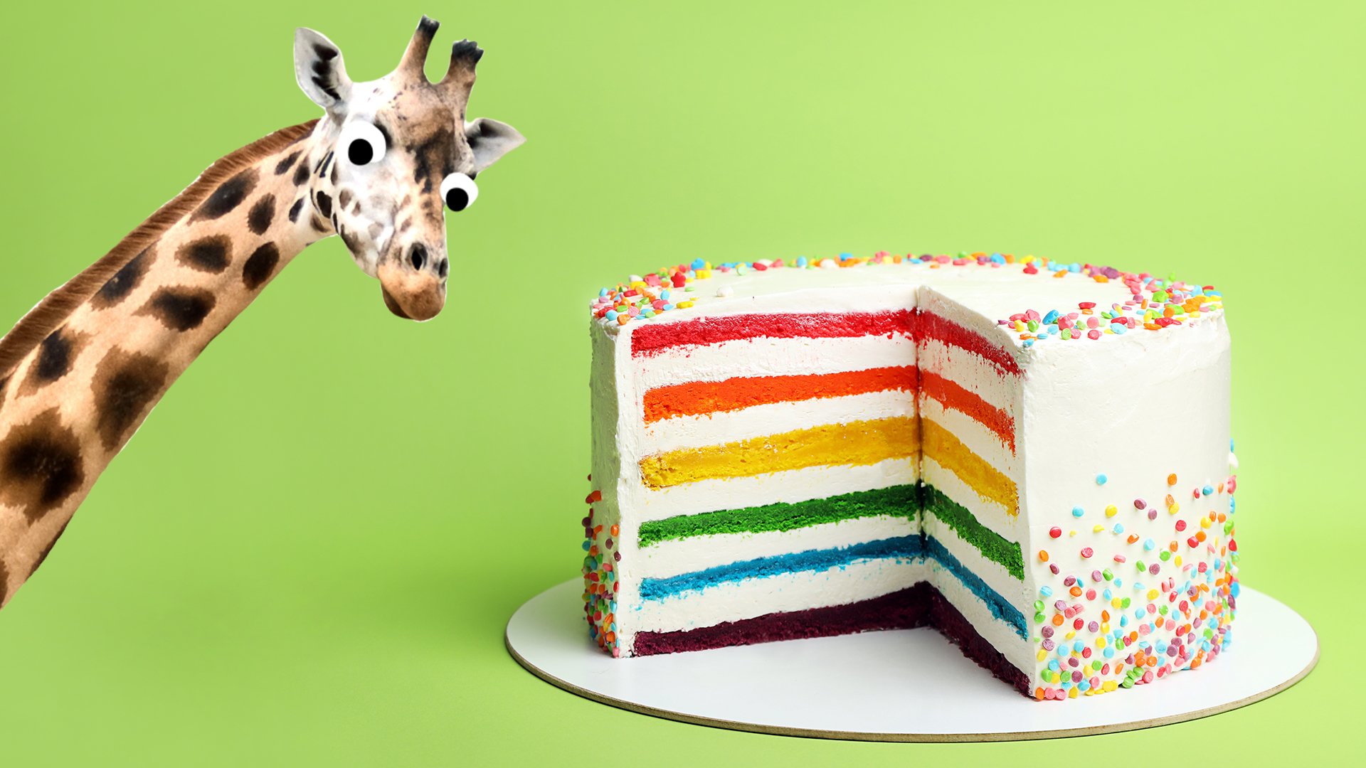 A giraffe with a rainbow cake