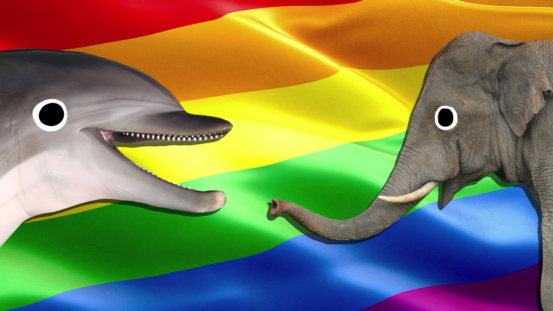 A dolphin and an elephant over a pride flag