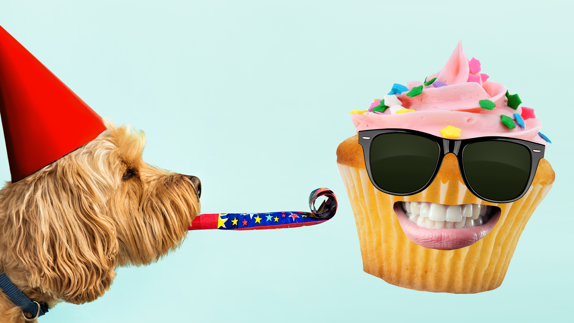 Birthday dog and cupcake