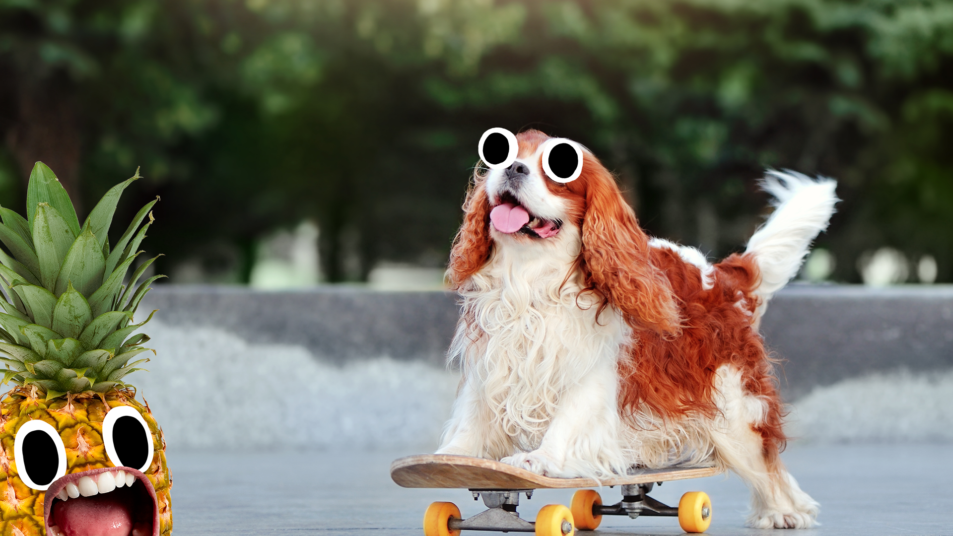 Dog on skateboard  with pineapple 