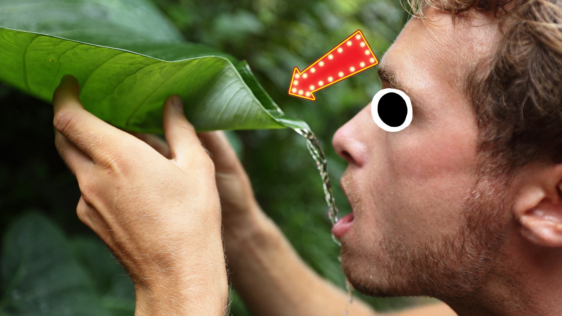 Man drinking water from leaf with arrow
