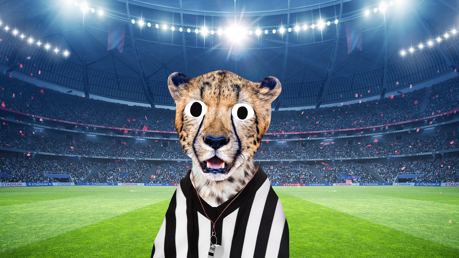 Referee cheetah in huge stadium