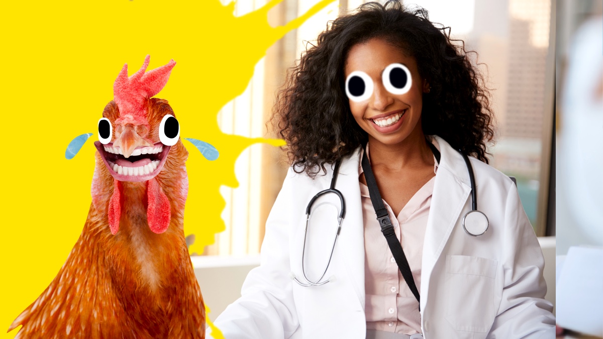 A doctor and a chicken