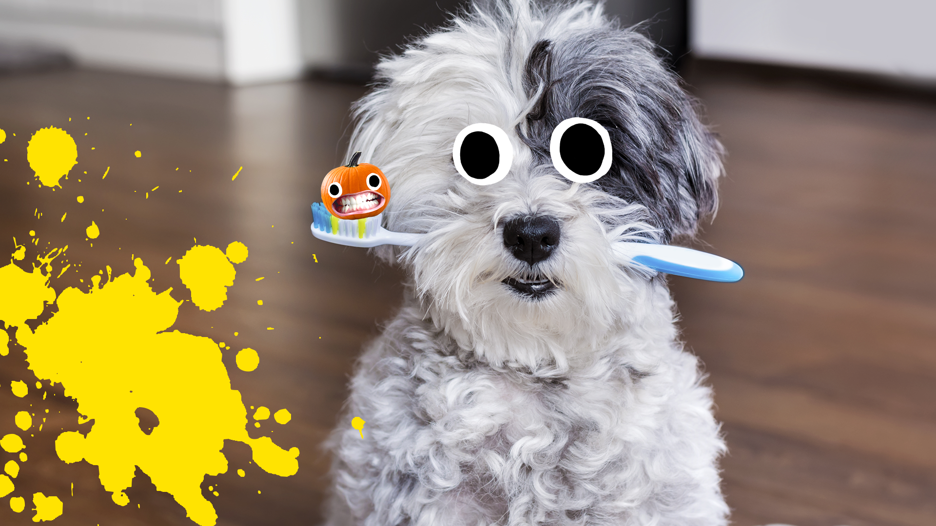 Dog with toothbrush with goody pumpkin and yellow splat
