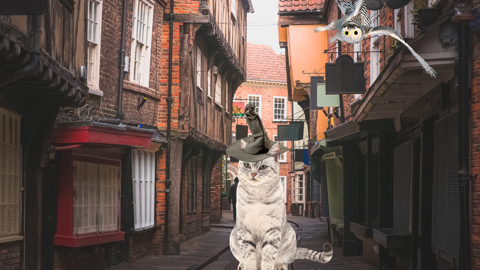Street background with Beano McGonagall and owl