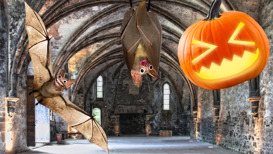 Hogwarts Halloween decorations