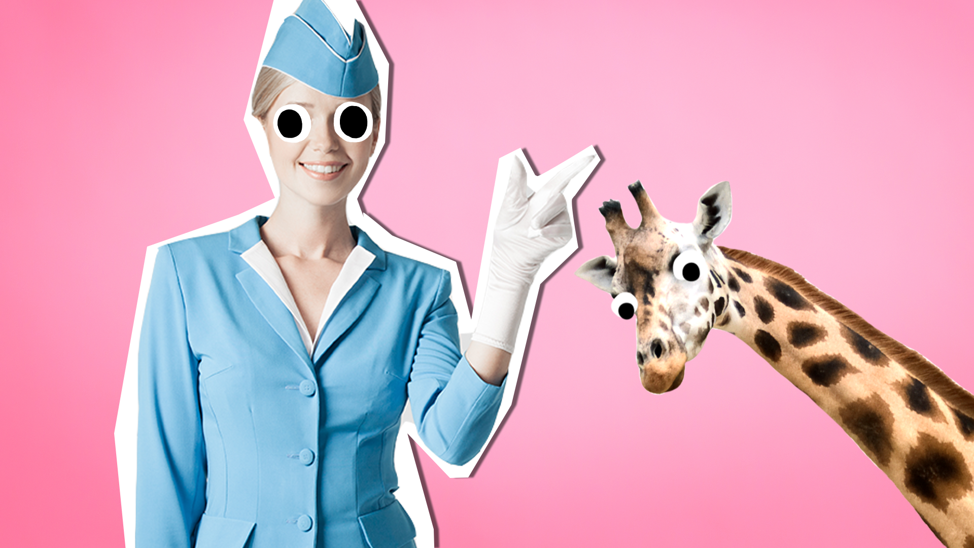 Air hostess Barbie looking woman on pink background with derpy giraffe