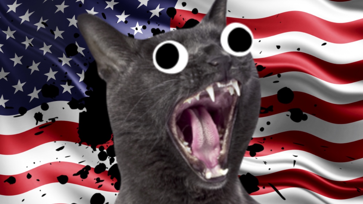 A howling cat in front of the USA flag
