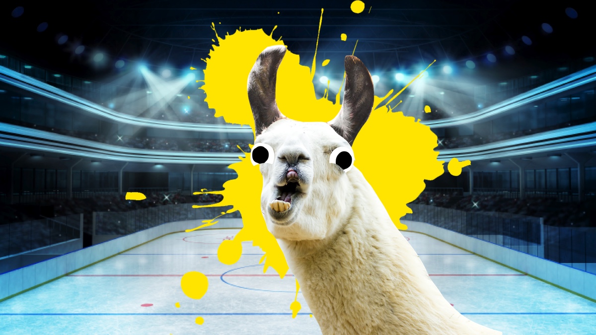 Llama in a hockey rink