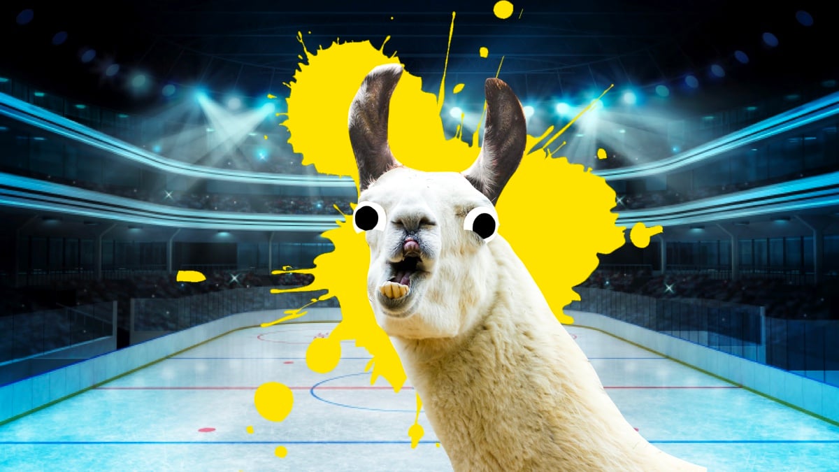 Llama playing ice hockey
