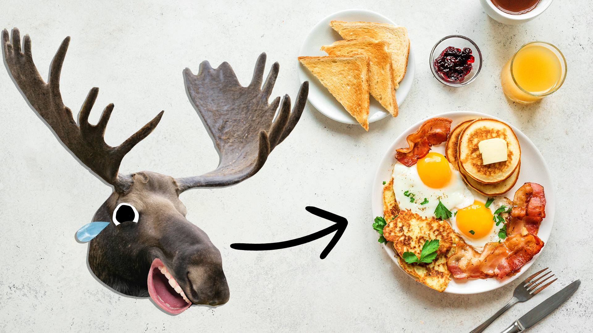 A moose with some tasty breakfast