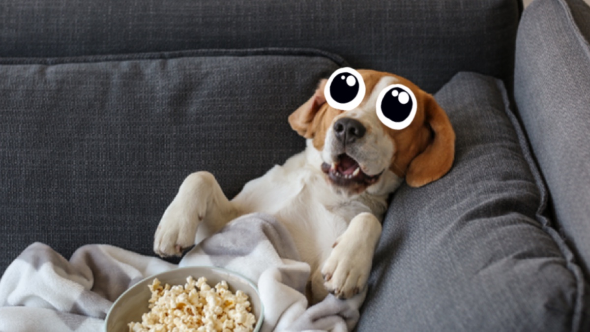 A dog relaxing with a bowl of popcorn 