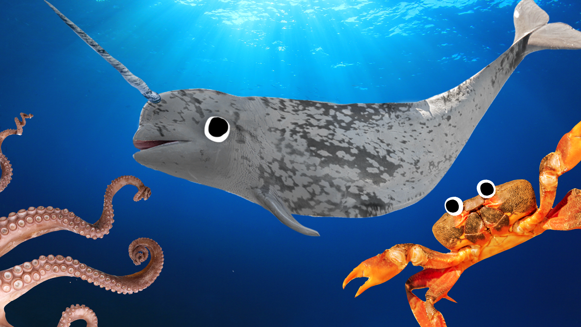 Narwhal whale with Beano crab and tentacles