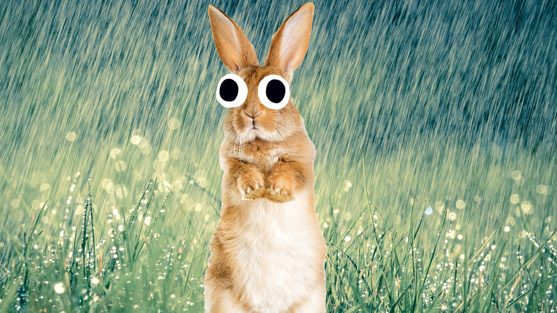 Rainy scene with Beano bunny
