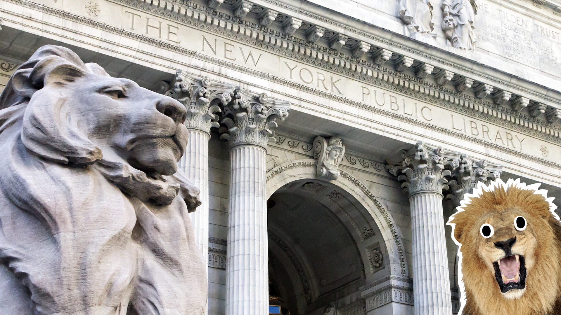 A marble lion outside the New York Public library