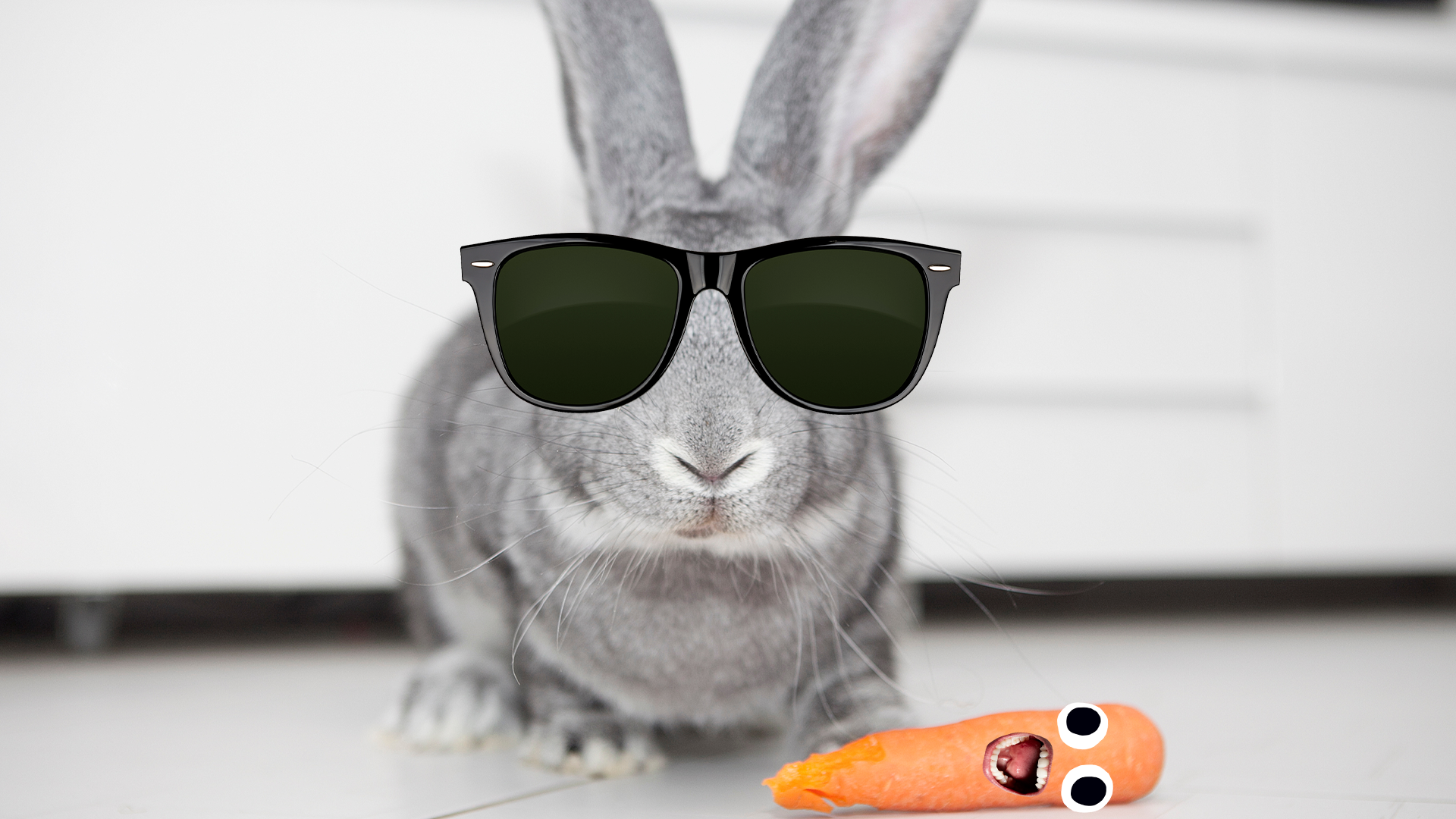 Rabbit in sunglasses and carrot with face