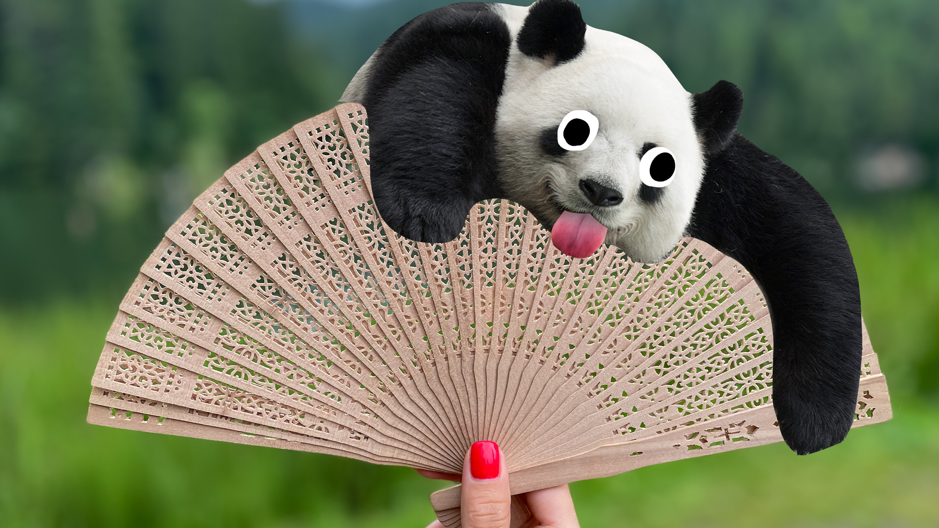 Fan with derpy panda