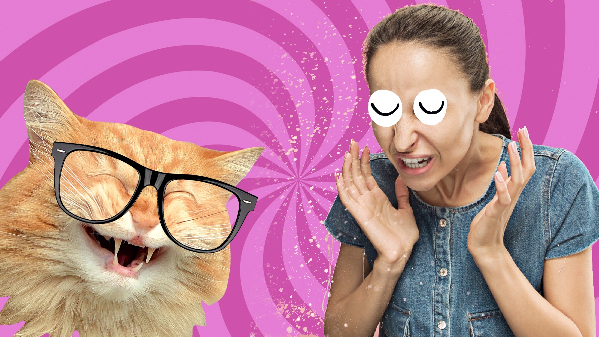 A person sneezing near a cat