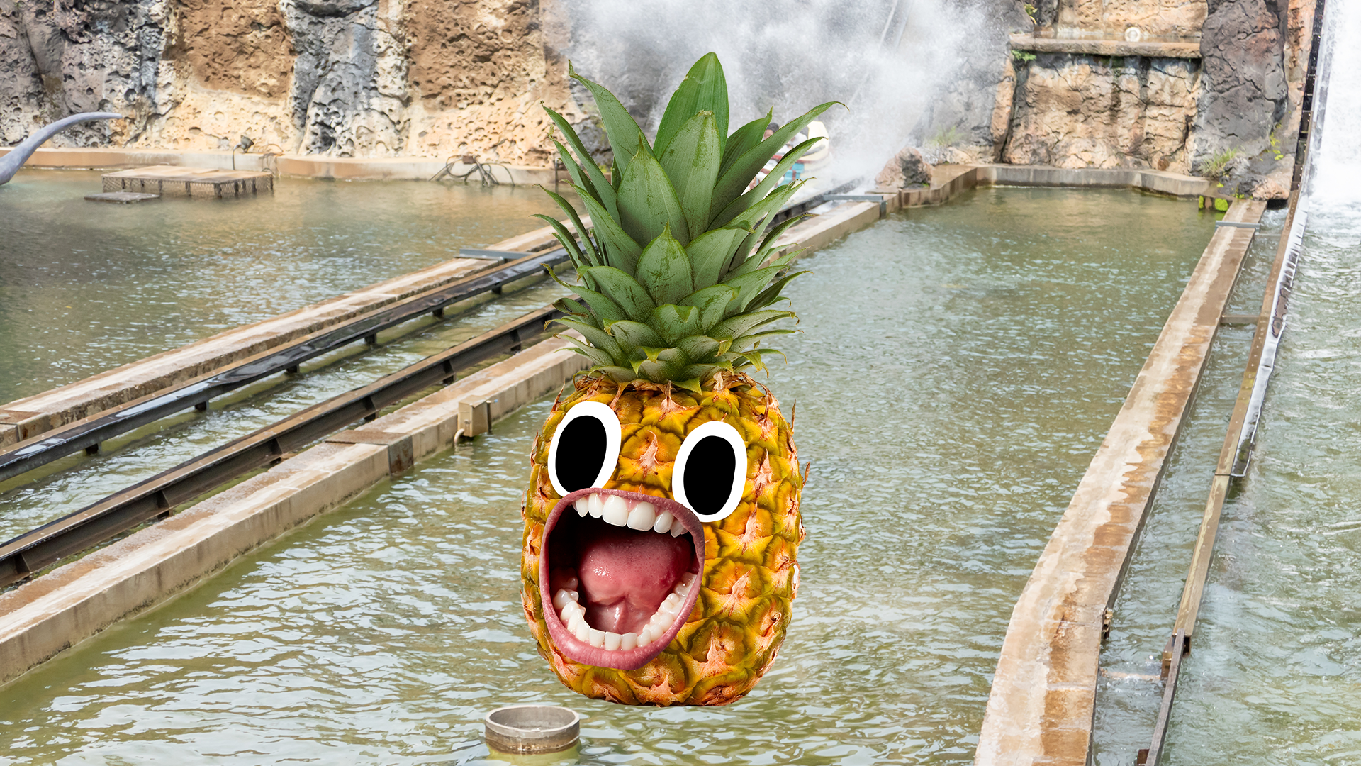 Splash ride with pineapple