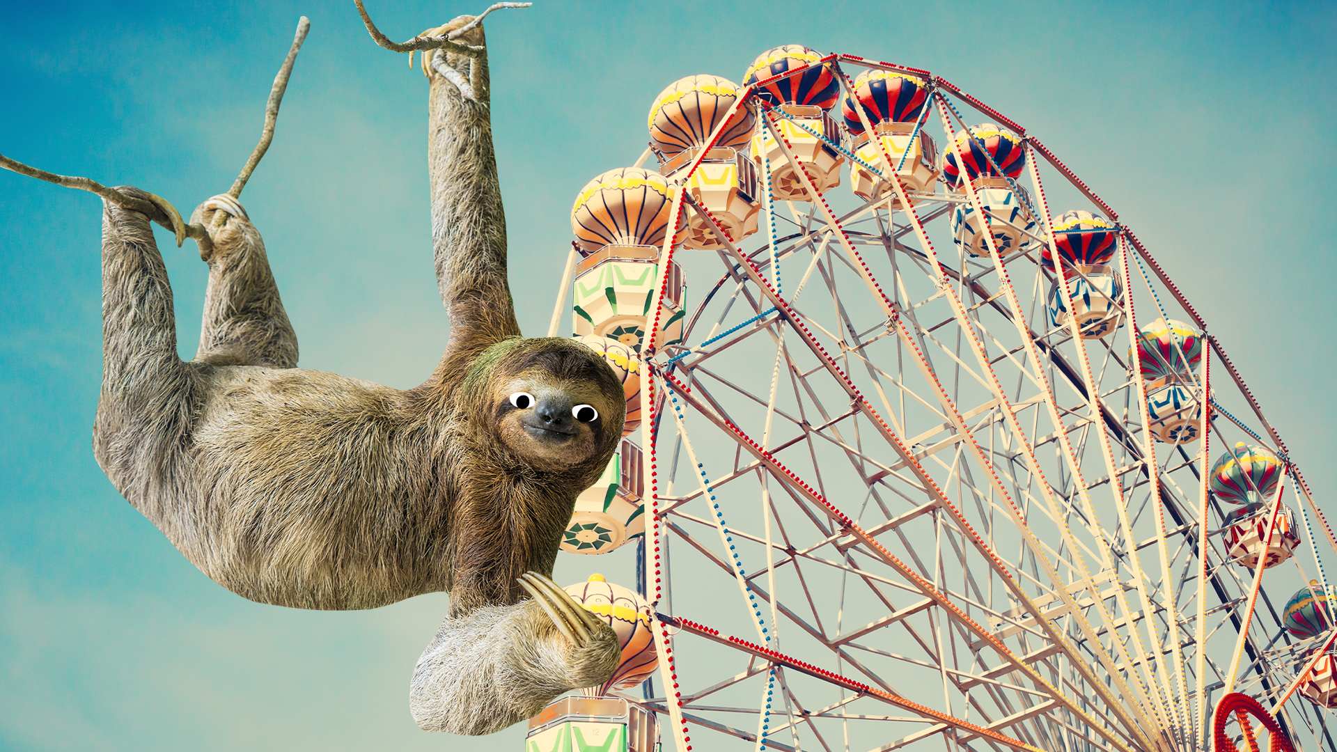 Sloth and Ferris wheel