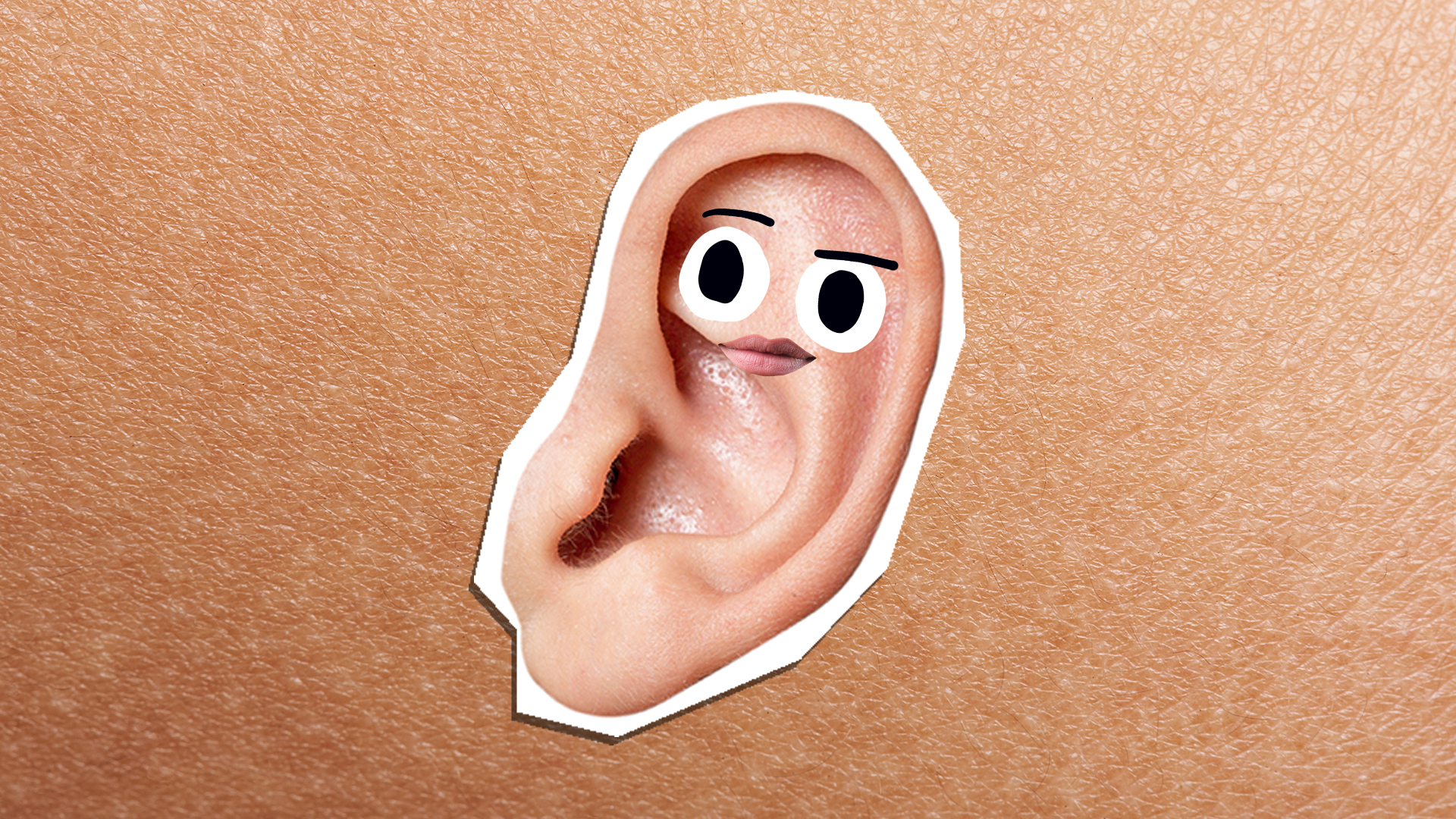 A quizzical ear