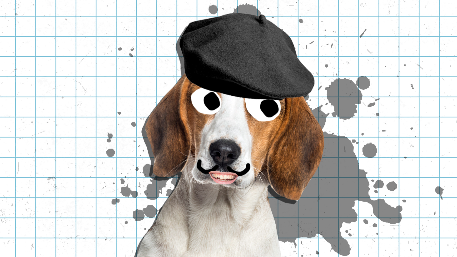 An artistic dog in a beret