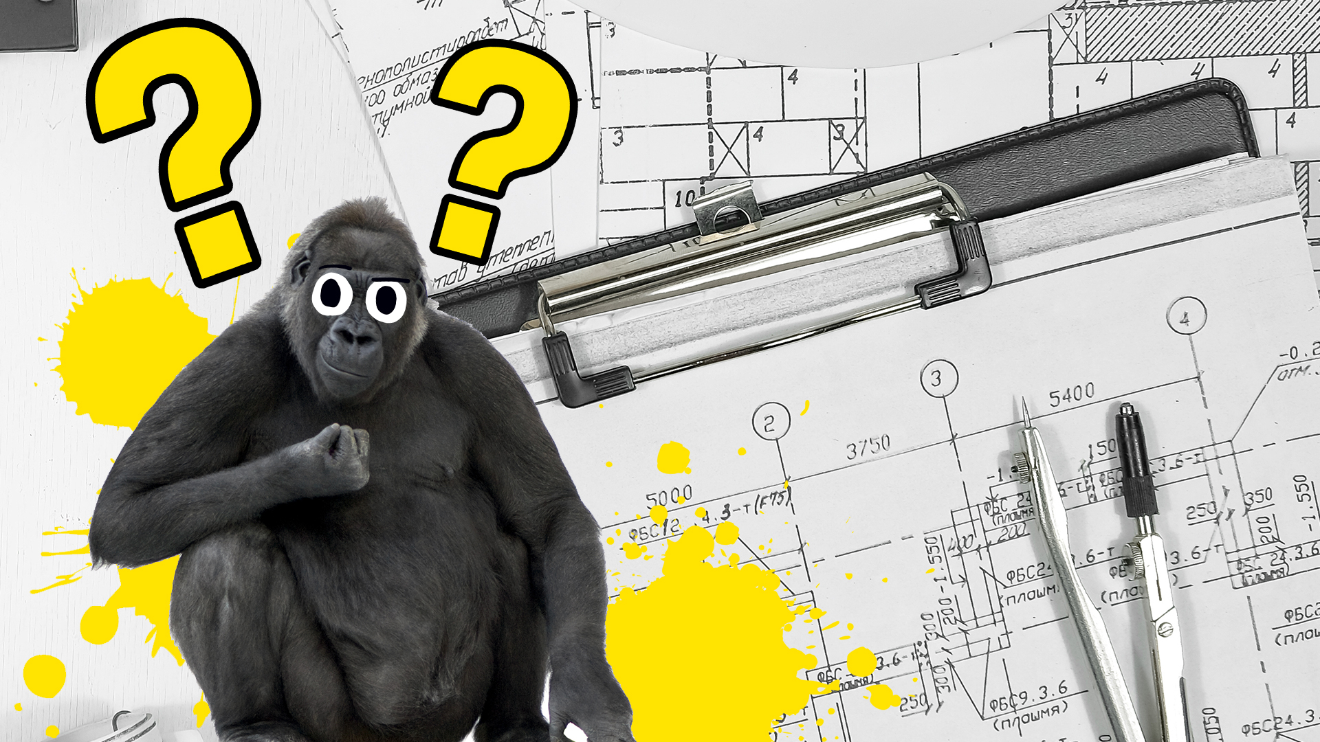 A gorilla in front of some architectural blueprints 