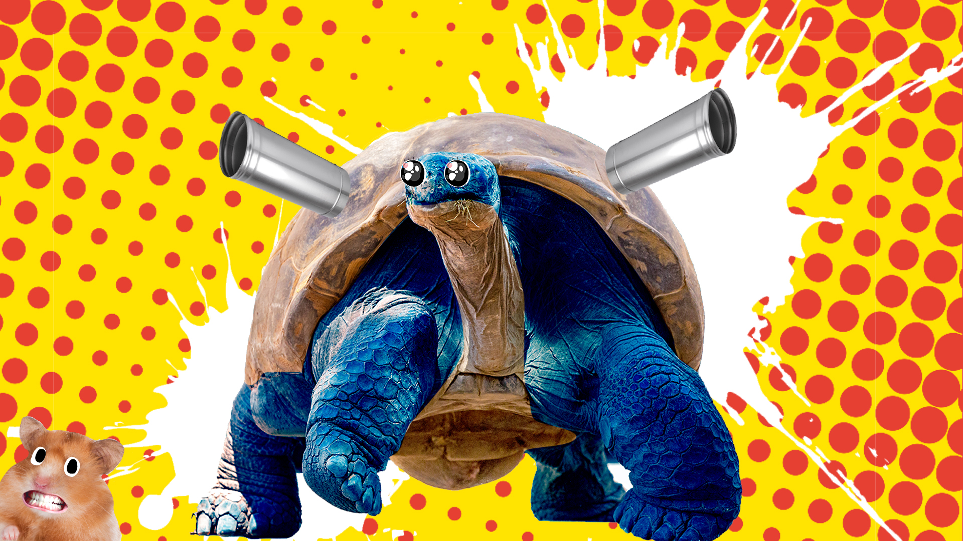 A tortoise Pokémon
