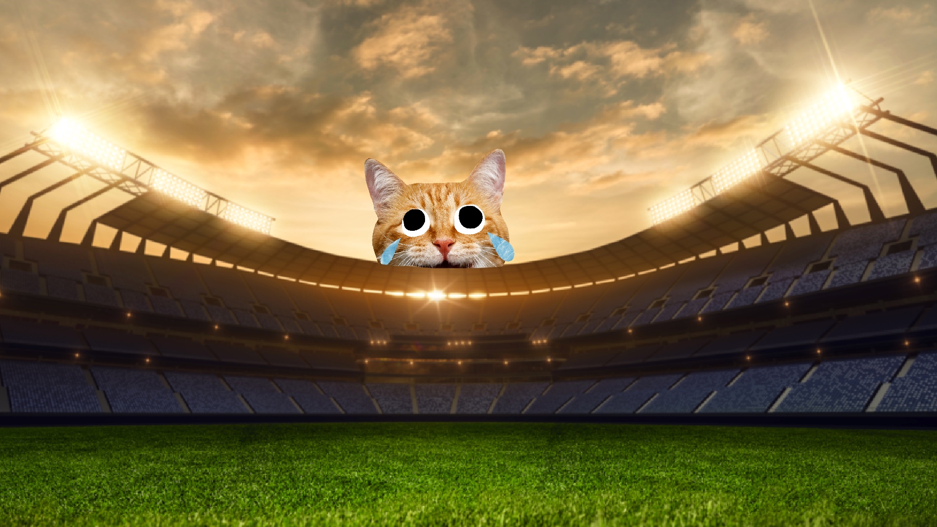 A large cat looms over a stadium at sunset