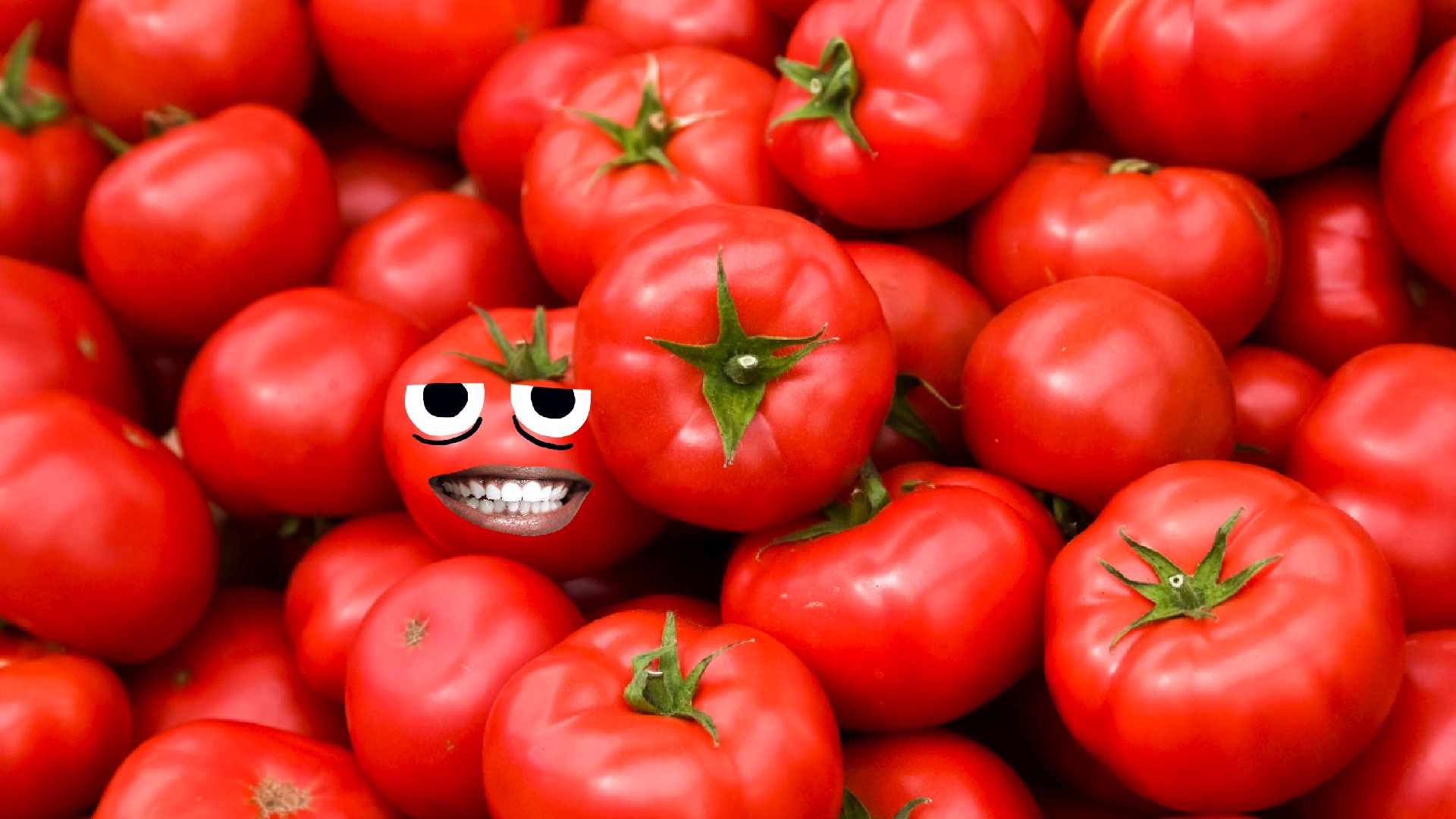 Some juicy tomatoes