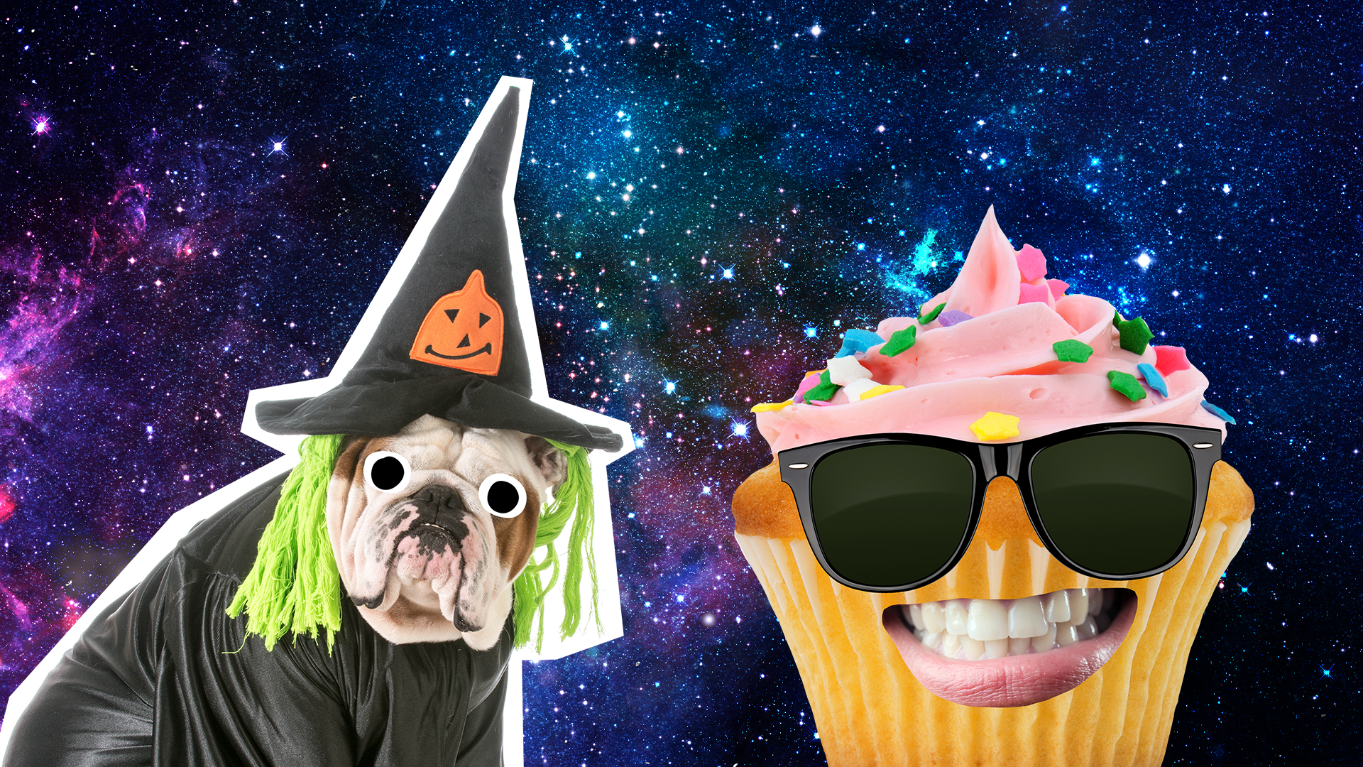 Witch dog and goofy cake