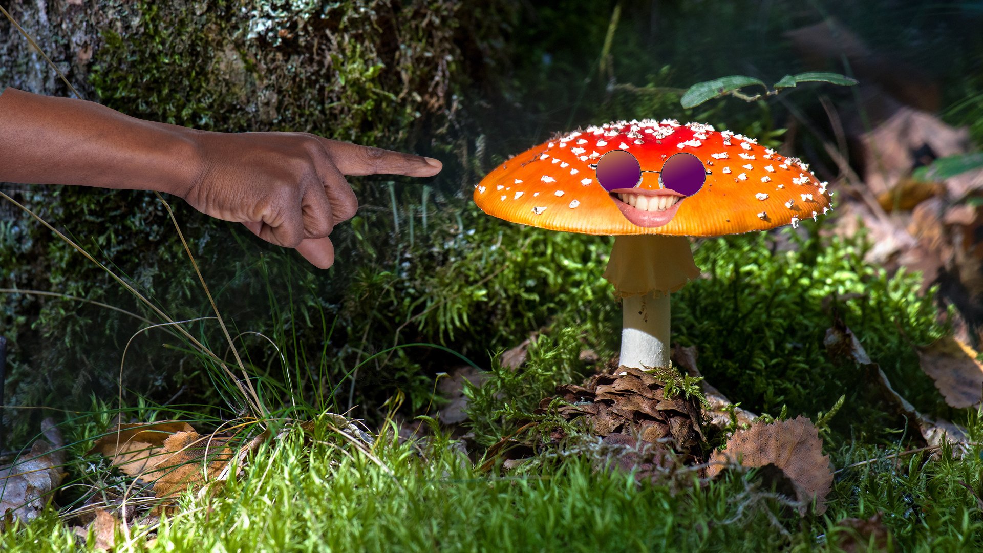 A smiling mushroom