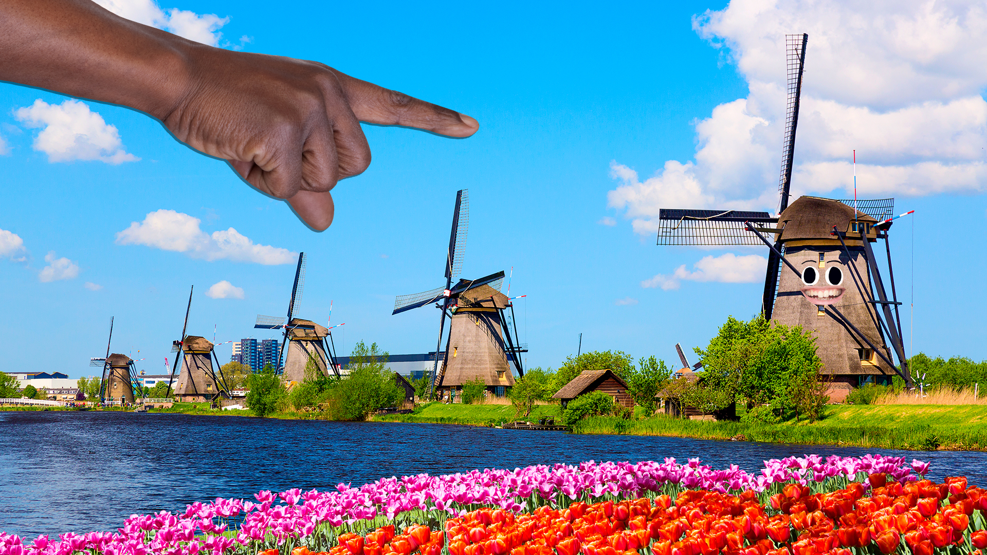A windmill next to colourful tulips 