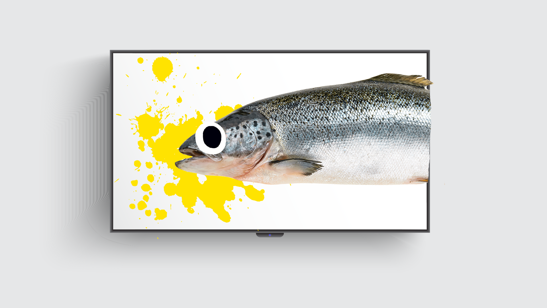 A salmon tv show