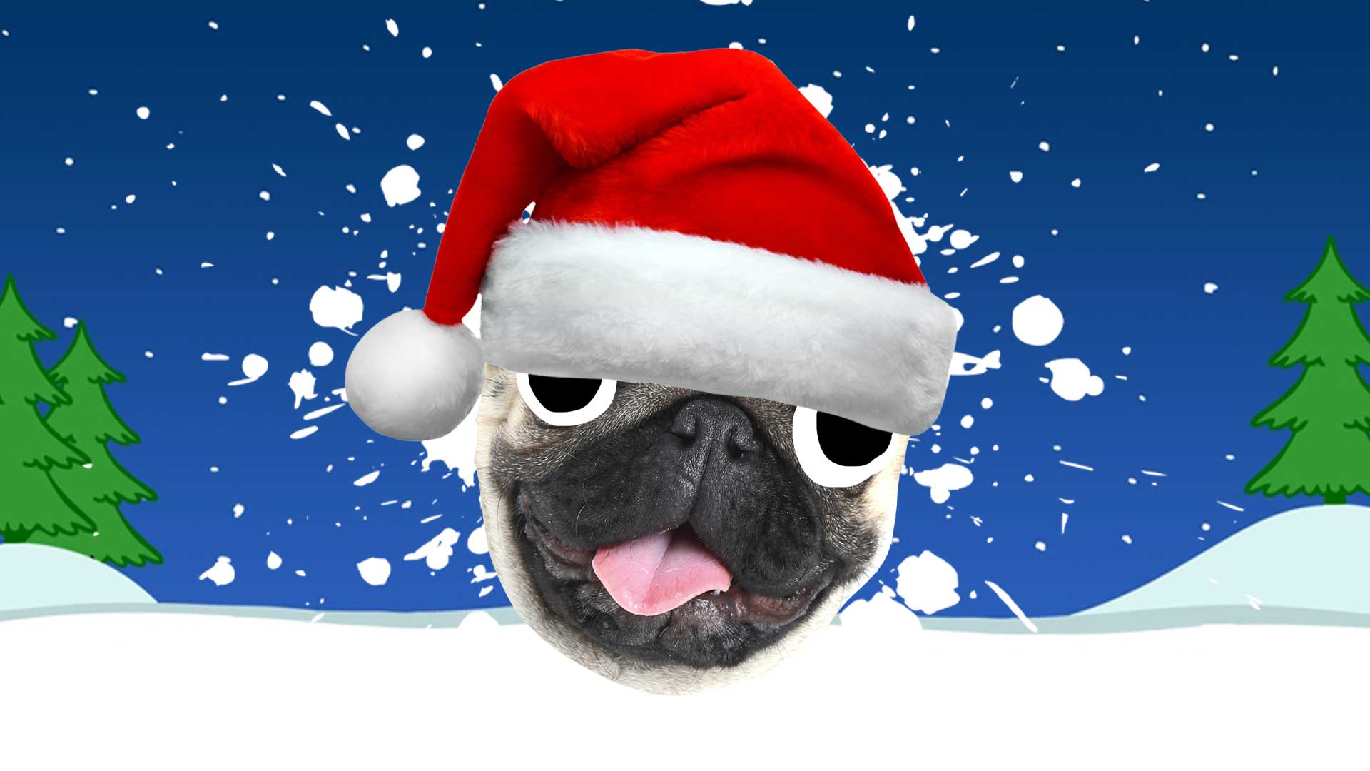 A pug wearing a Santa hat