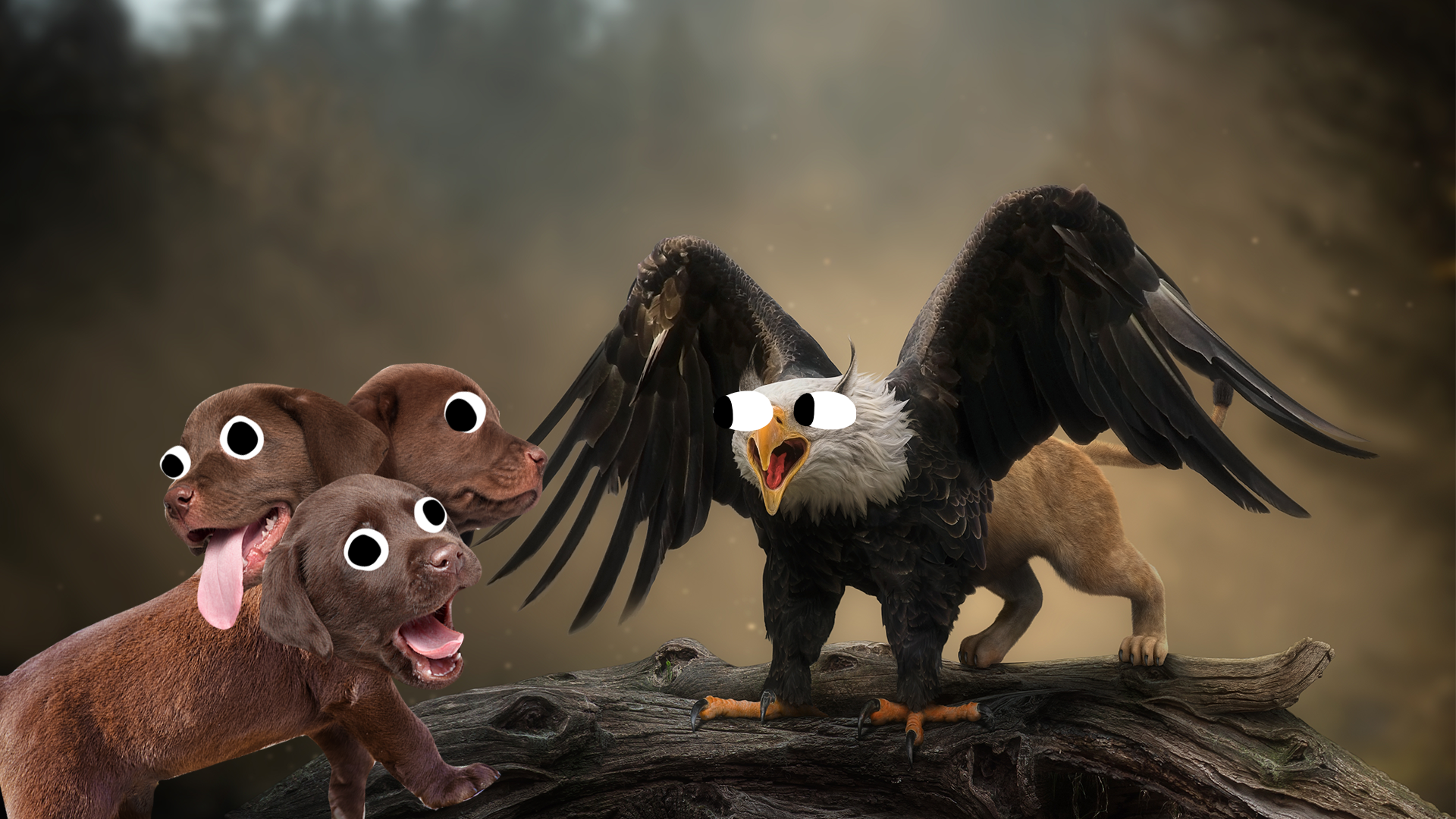 A three-headed dog and an eagle