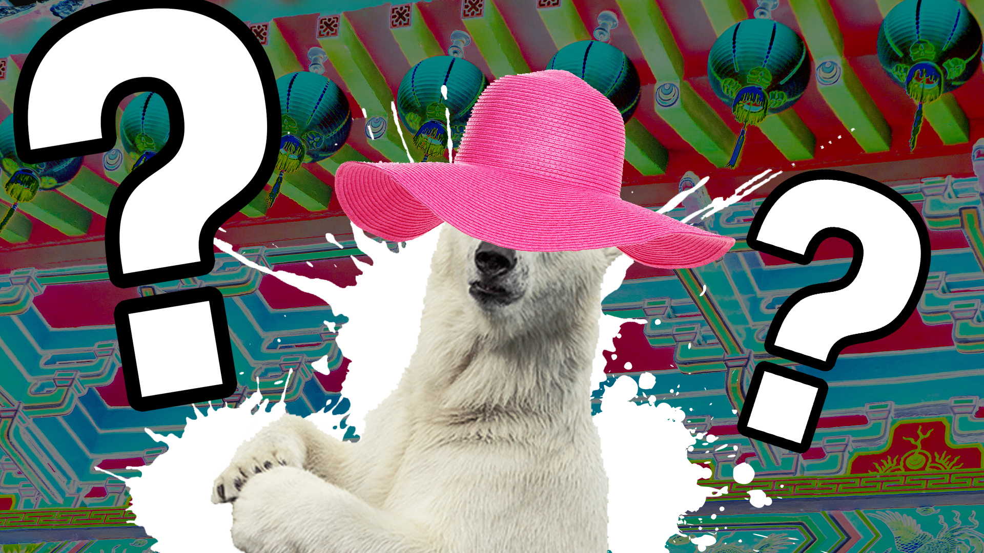A polar bear in a fetching pink hat