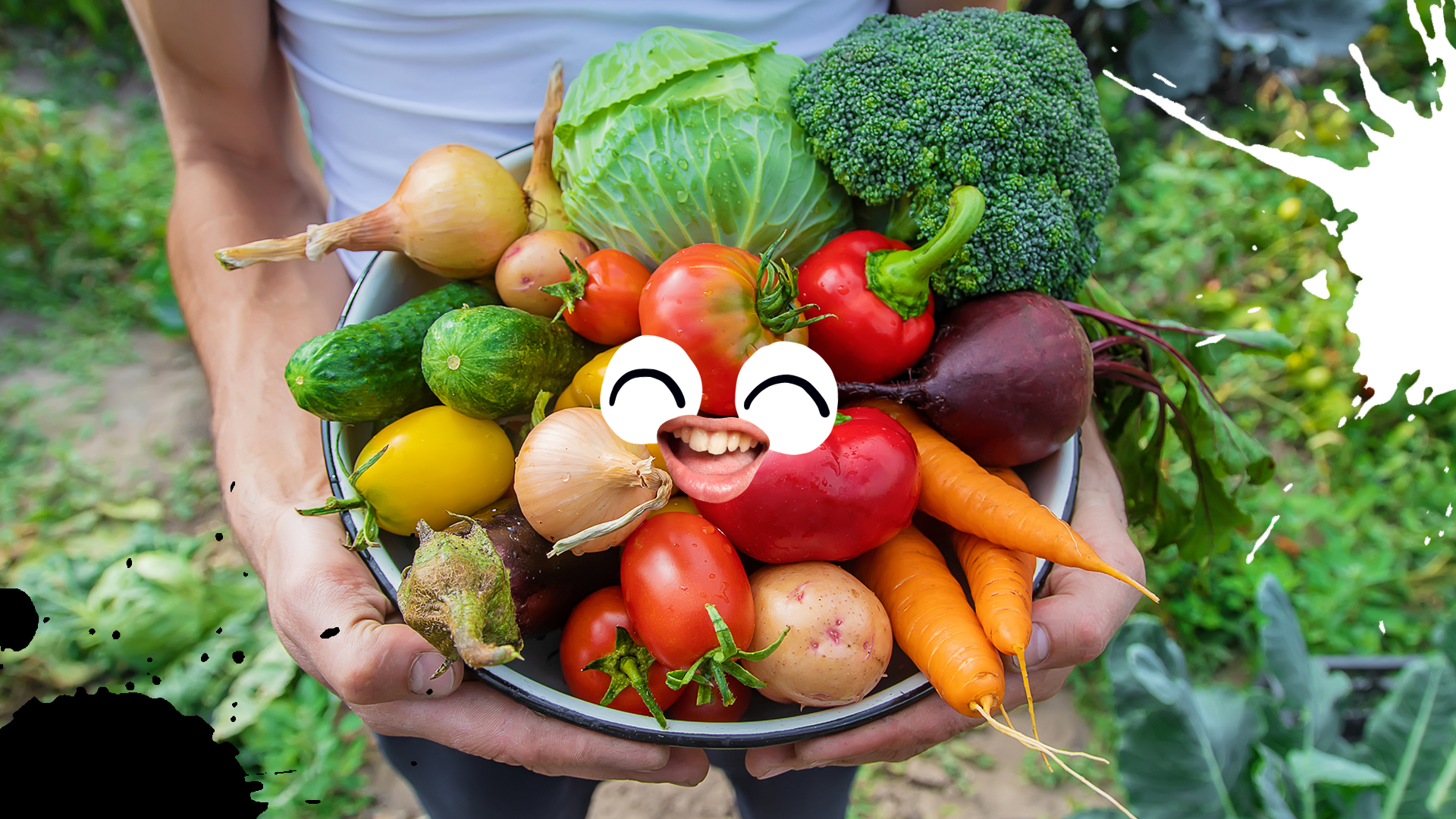 A big harvest of fresh vegetables