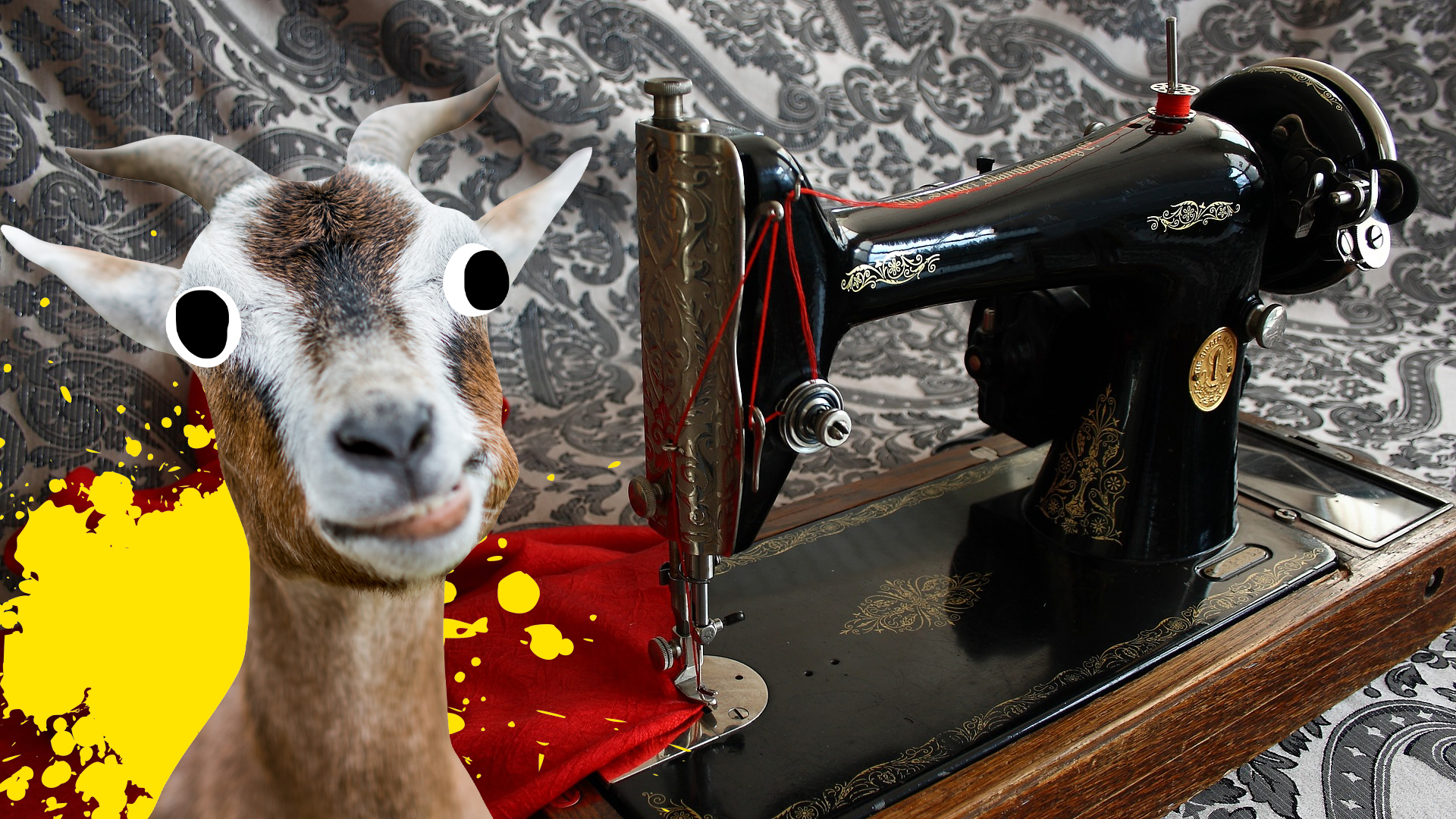 A goat and a sewing machine
