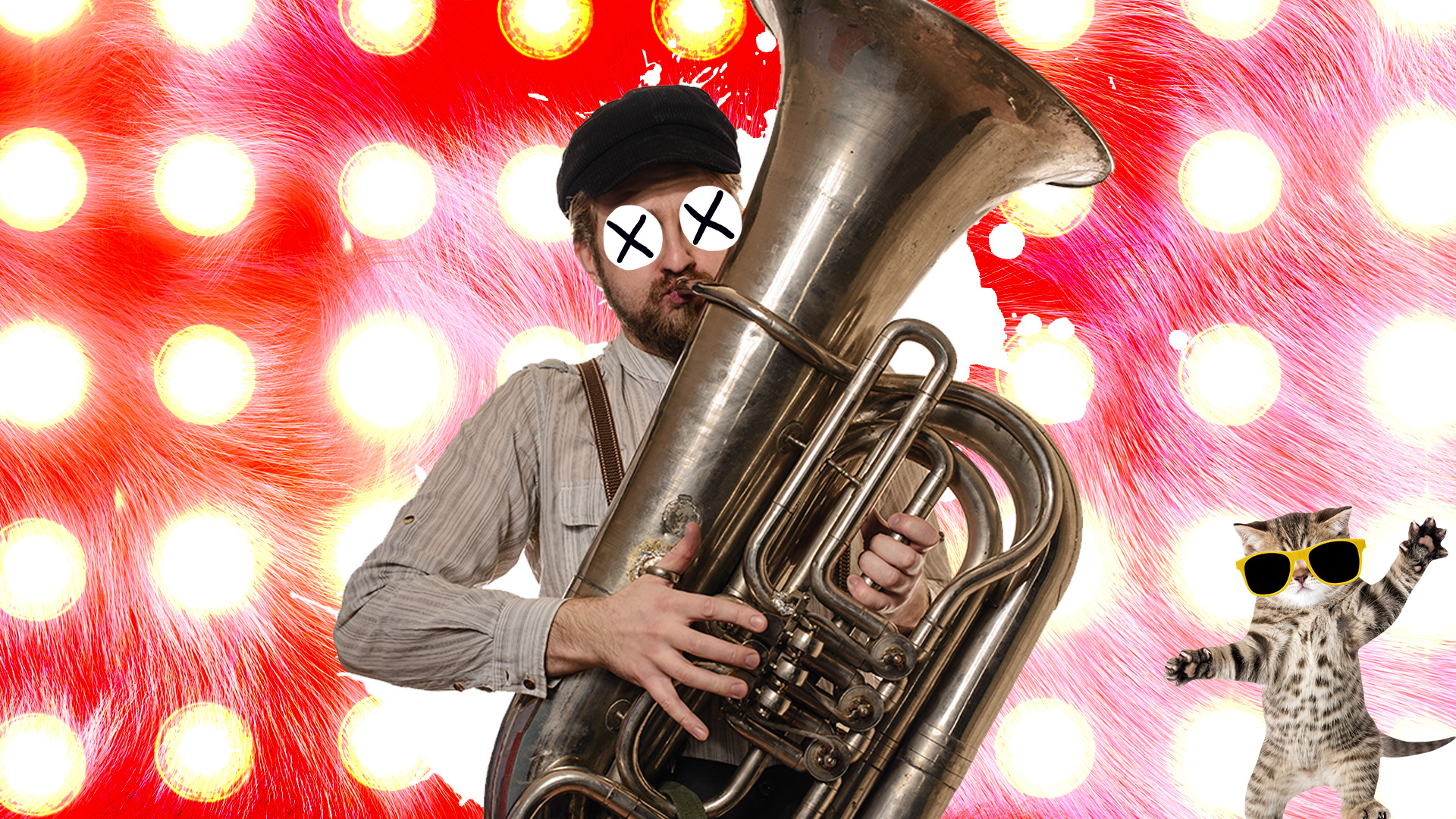 A man playing a tuba to a dancing kitten