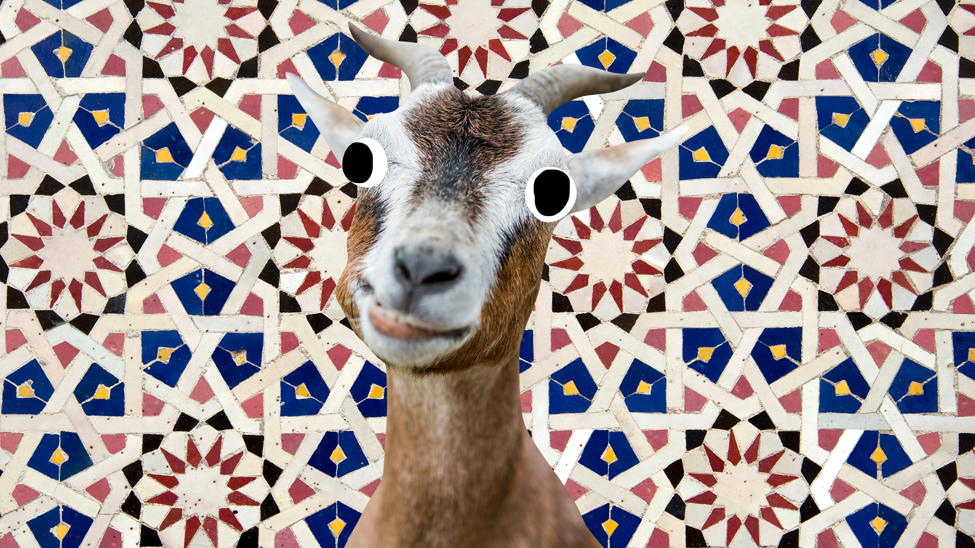 Derpy goat on patterned background