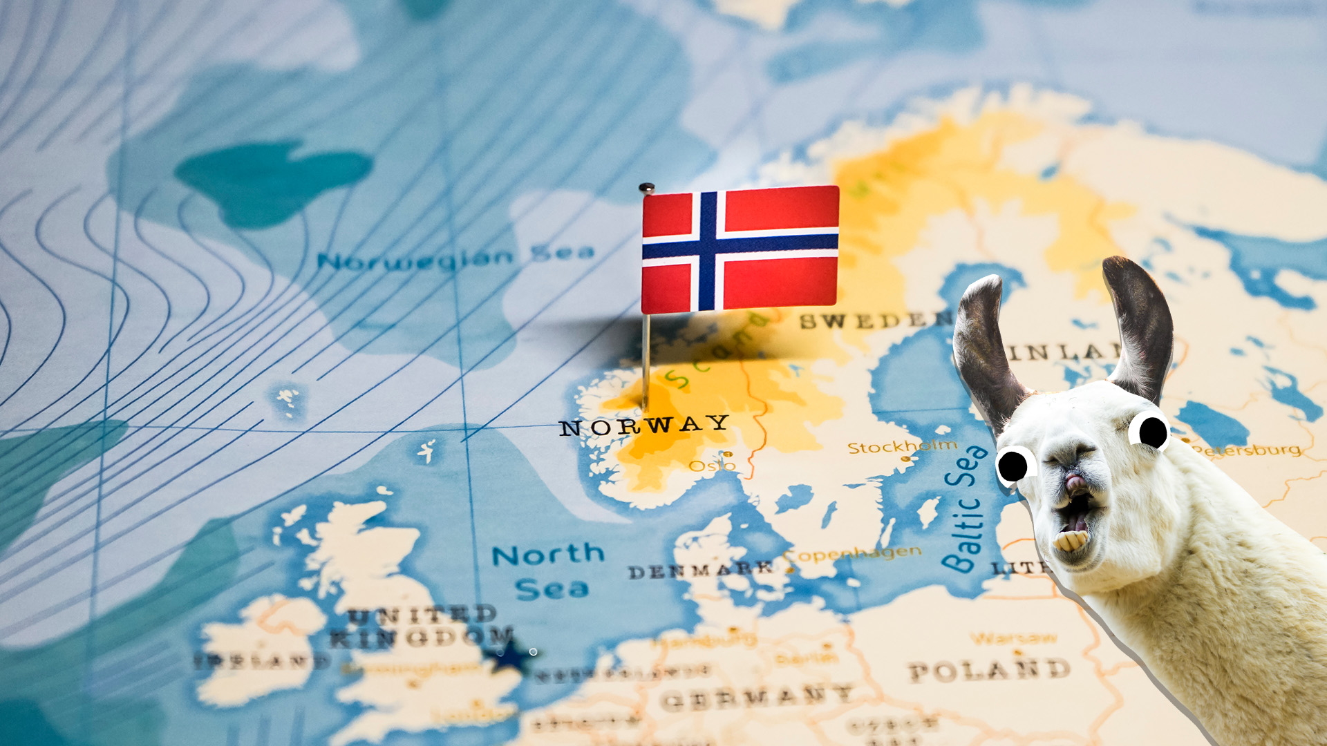 A map with a flag of Norway pinned onto the country. There's a llama too and they look surprised