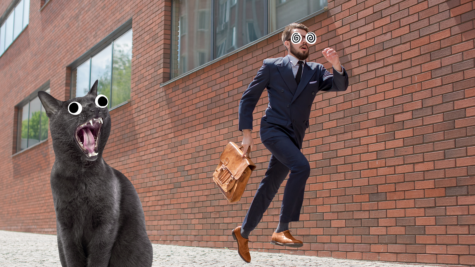 A businessman running past a cat