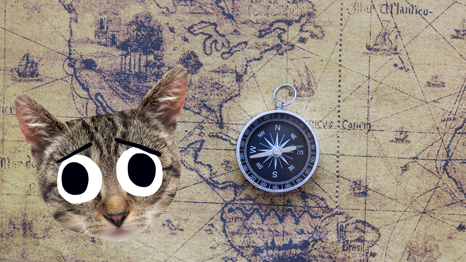A kitten, a compass and a map